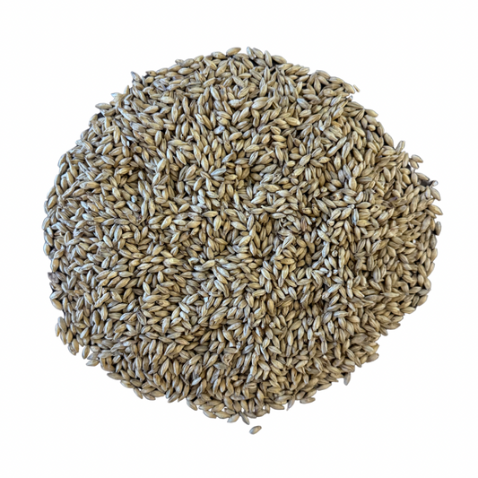 Base Malts
