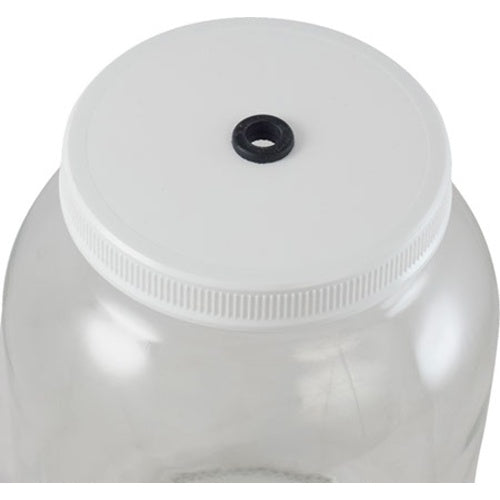 1 Gallon Glass Jar Fermenter Kit