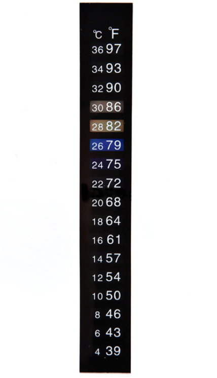 DUAL SCALE LIQUID CRYSTAL THERMOMETER