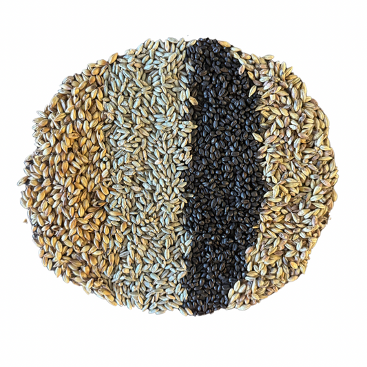 Specialty Malt