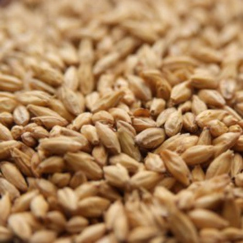 2-Row Barley