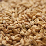 2-Row Barley /50lb Bag