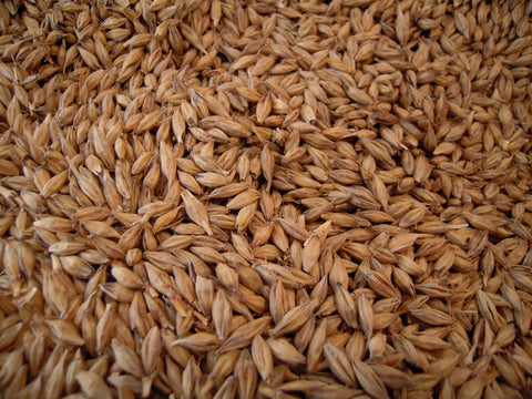 Caramel 10 / 50 lb bag