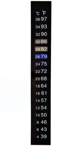 DUAL SCALE LIQUID CRYSTAL THERMOMETER