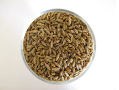 Rye malt/Oz.